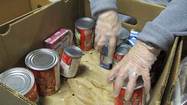 Moisson Mauricie entreprend sa grande récolte