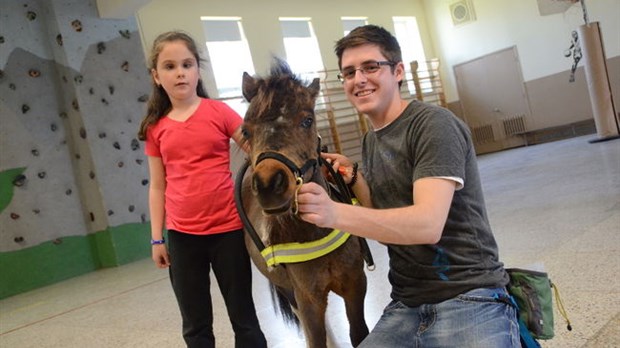 Mathéo le cheval aidant