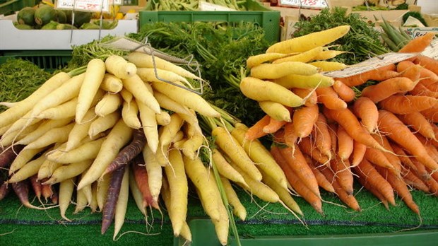 Projet de marché public à Trois-Rivières