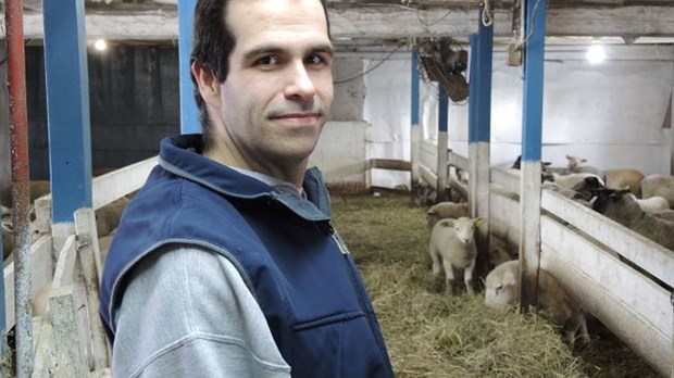 Agriculture: Trouver l’amour; difficile, mais pas impossible!