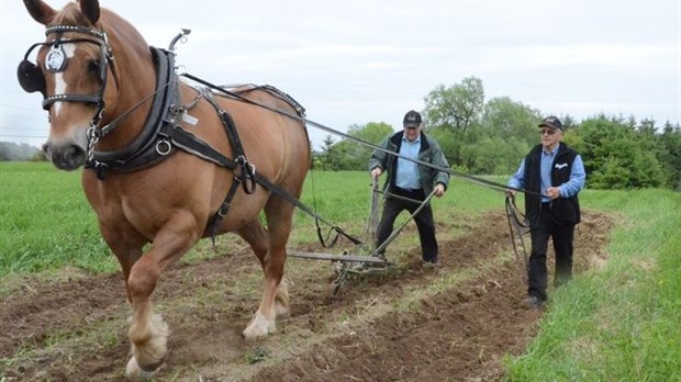 Retour dans le passé pour l’agriculture