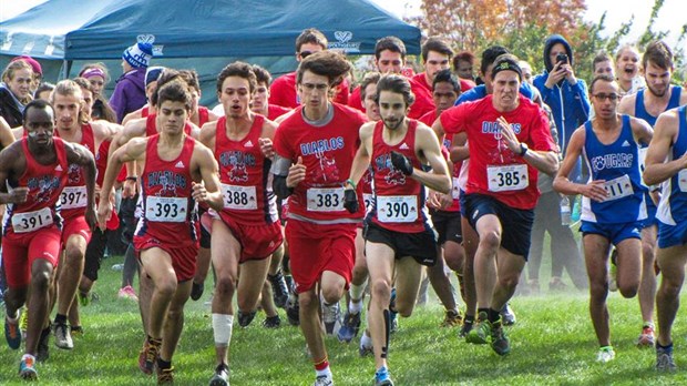 Saison de rêve pour les Diablos crosscountry
