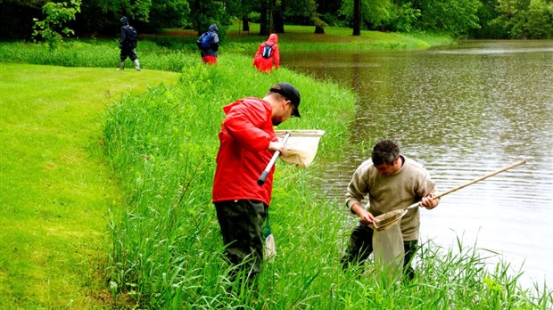 Ruisseau Saint-Charles : plus de 600 espèces recensées
