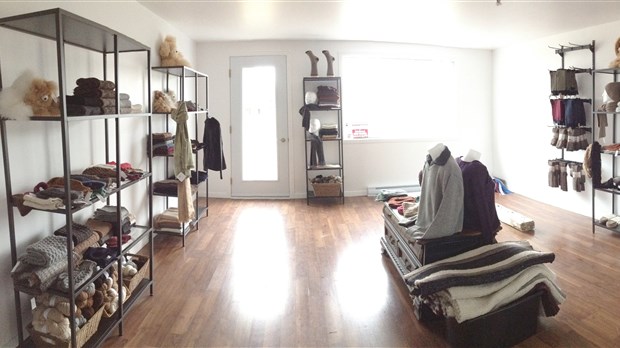 Alpagas Fibrefin: ouverture officielle de la boutique à la ferme