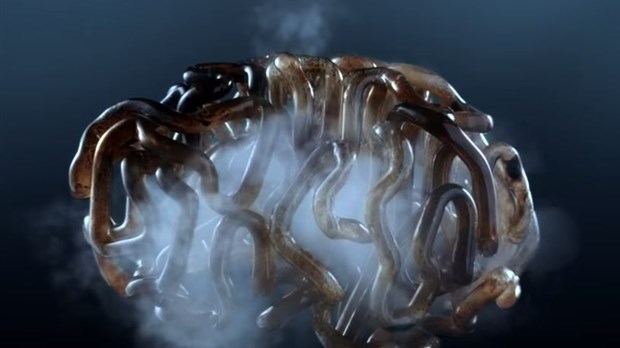 La marijuana peut gravement nuire au développement du cerveau des adolescents