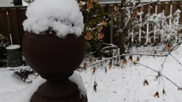 Des premiers flocons aux chutes de neige !