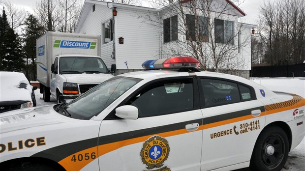 Démantèlement de cultures de cannabis: neuf arrestations