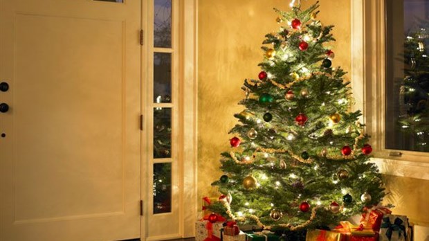 Donnez une deuxième vie à votre sapin de Noël