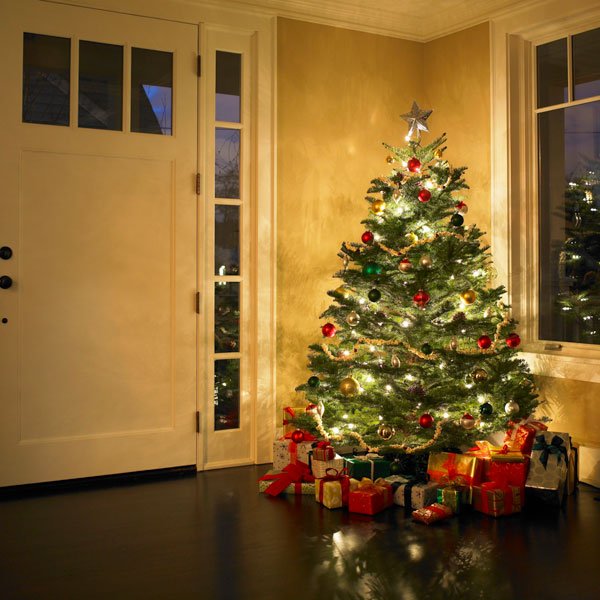 Donnez une deuxième vie à votre sapin de Noël