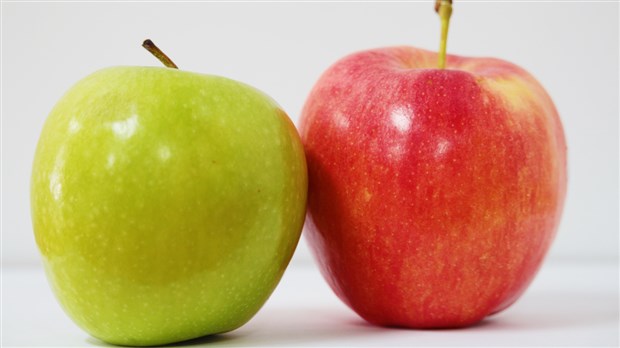 Rappel de pommes Granny Smith et Gala