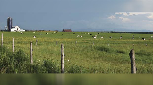 Le transfert d'entreprises préoccupe les entrepreneurs agricoles de la Mauricie