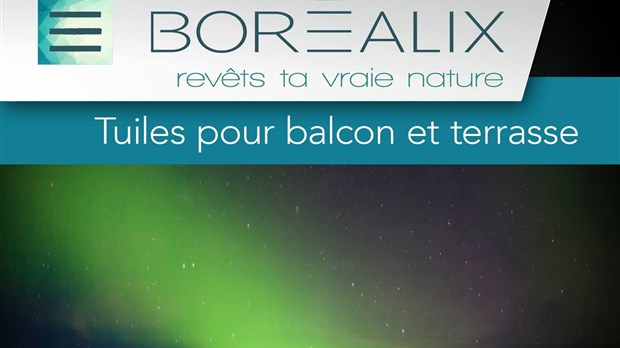 Québec confirme la réalisation d'un projet d'investissement de près de 289 000 $ de l'entreprise Boréalix