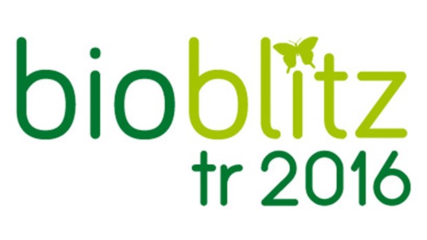 5 ans de Bioblitz pour la Ville de Trois-Rivières! 