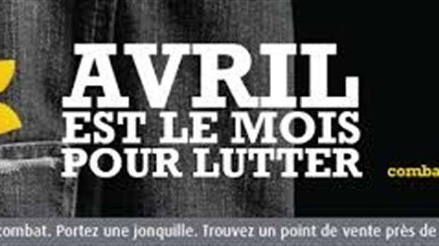 Plus de 51 000 jonquilles seront en vente en Mauricie