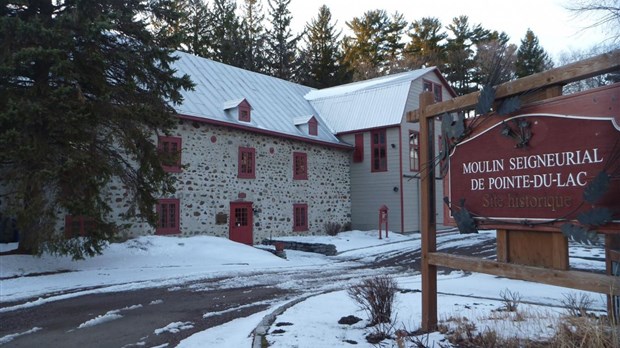 Travaux d’assainissement dans le boisé du Moulin seigneurial de Pointe-du-Lac