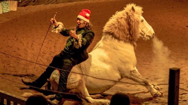 NOËL, pour célébrer le Temps des fêtes!