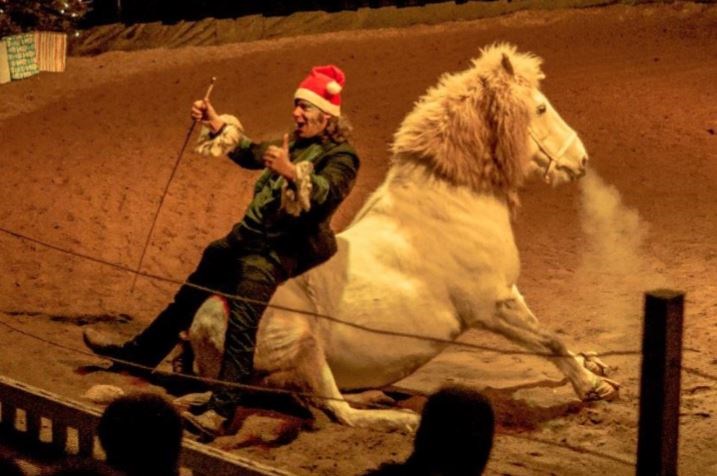 Un spectacle équestre féérique pour Noël