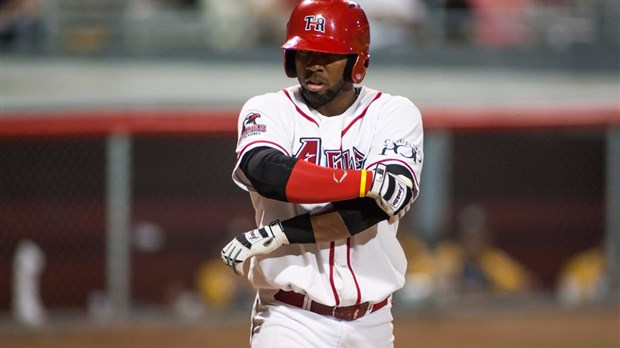 Aigles: Steve Brown libéré