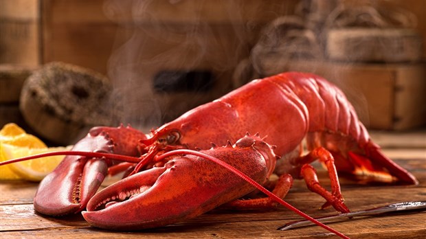 Souper aux homards 2017 de la Maison Grandi-Ose 