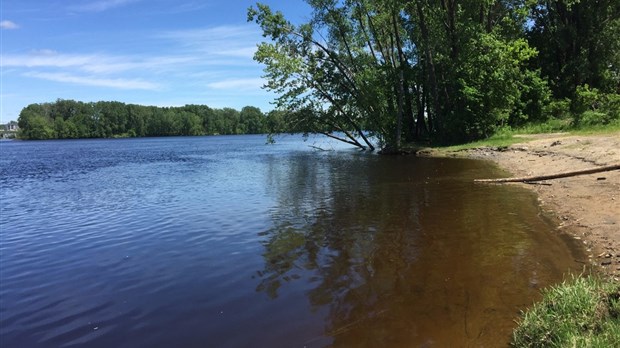 Un Grand nettoyage des rivages canadiens s’organise à Trois-Rivières!