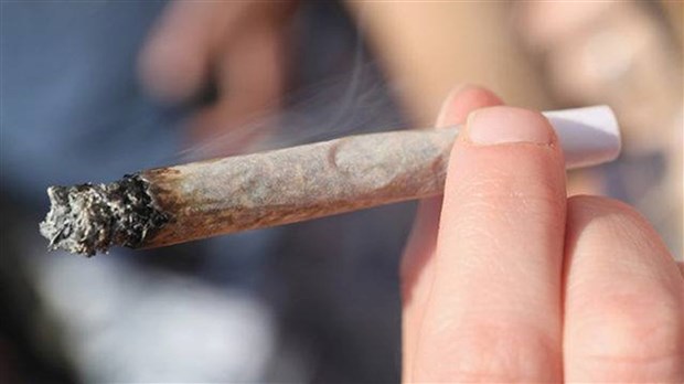  La Ville de Shawinigan règlemente les endroits où il sera interdit de fumer du cannabis
