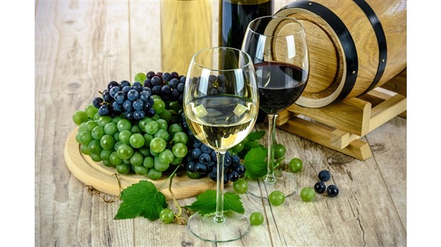 La Fondation du Cégep de Trois-Rivières annonce la tenue de son 2e Salon des vins d’importation privée