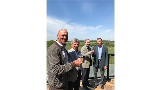 En début juin, les vignobles de la Ville de Bécancour vous accueuillent