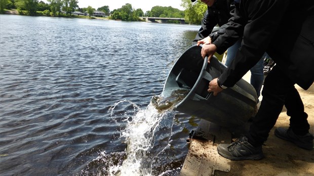 Des pêcheurs en herbe à l’action