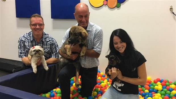 La garderie canine 3R s’installe à Trois-Rivières 
