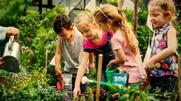 Le Festival des récoltes à l'école Louis-de-France, une célébration des produits et comportements écoresponsables