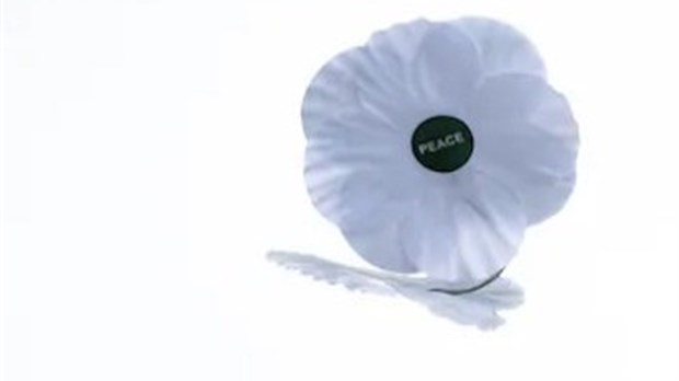 Porter le coquelicot blanc, une initiative du Comité de solidarité en souvenir des victimes civiles et militaires des guerres