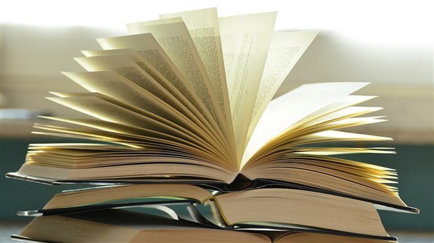 Les 8 droits des visiteurs publiés par les bibliothèques publiques