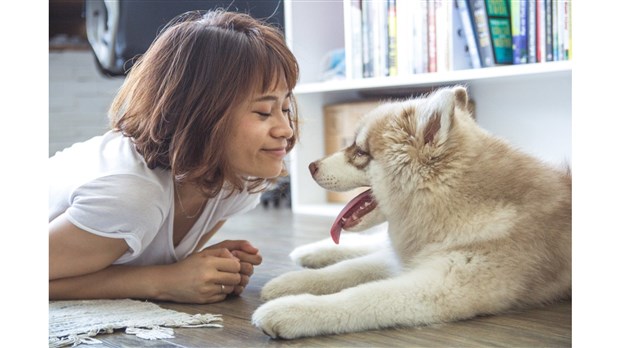 Un chien agira en tant que soutien émotionnel auprès des jeunes de la Mauricie et du Centre-du-Québec