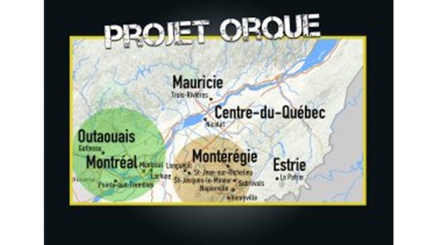 33 individus sont arrêtés dans le cadre de Projet ORQUE