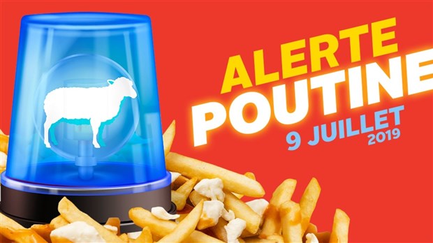 4978 personnes ont répondu à l’Alerte Poutine! 