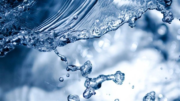 Bassin Versant Saint-Maurice convie la population à une activité citoyenne sur le thème de l’eau 