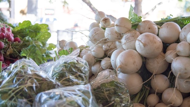 La 11e Semaine québécoise des marchés publics arrive en Mauricie