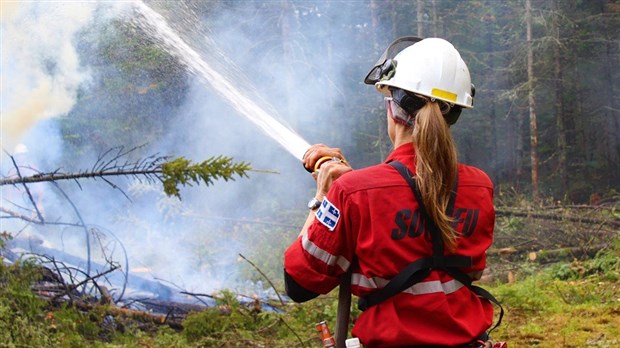 SOPFEU : Une moyenne beaucoup plus basse d'incendies forestiers en dix ans 