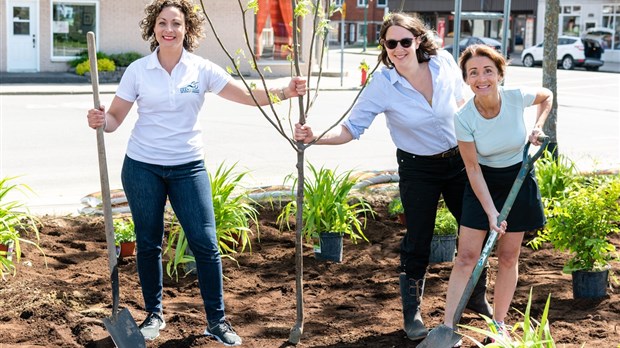 Un 25e anniversaire de fondation pour Environnement Mauricie
