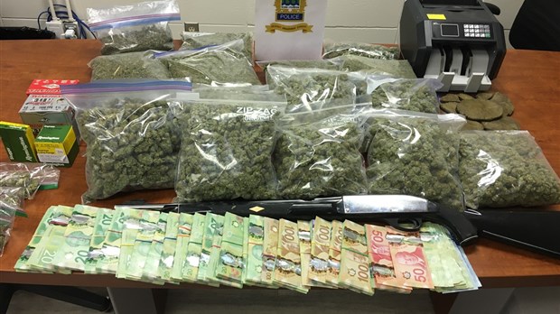 Trafic de cannabis : une arrestation et une saisie effectuées à Trois-Rivières