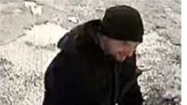 Introduction par effraction et vol qualifié à Shawinigan : la police recherche deux suspects