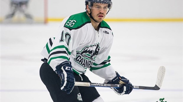 Hockey: Guilbault et Gauthier s'amènent avec le Formule Fitness