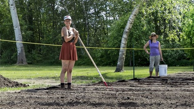 Le jardinage enretenu dans trois endroits à Trois-Rivières
