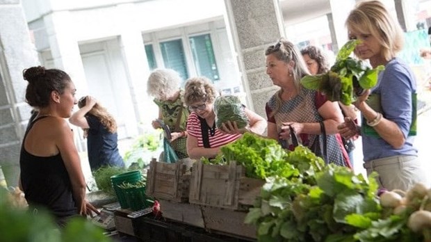 La 12e Semaine québécoise des marchés publics s’invite en Mauricie