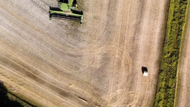 Le Roépam publie une capsule vidéo choc pour une relance économique verte