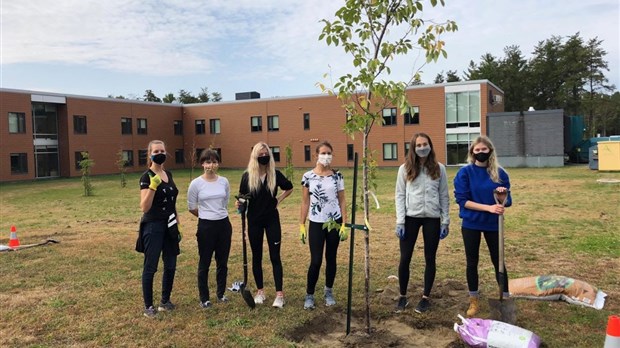 À Trois-Rivières, des CHSLD plus verts pour la santé des aînés