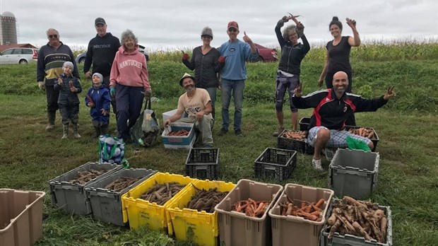 Glanage en Mauricie : 22 000 kilos de fruits et de légumes recueillis