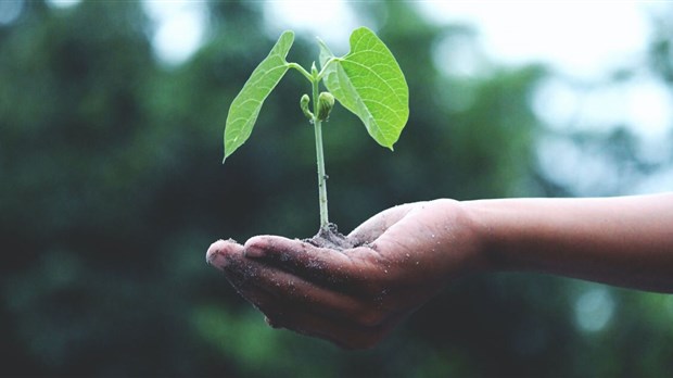 Des nouveaux outils offerts aux PME d’ici pour réduire leur empreinte environnementale