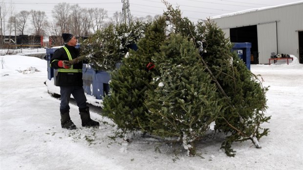 Collecte de sapins naturels : Shawinigan recommande de s’inscrire dès maintenant