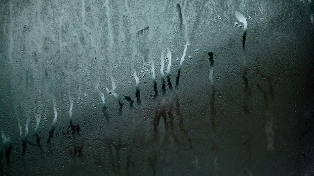 Comment décider si vous avez besoin d’un humidificateur ou d’un déshumidificateur?